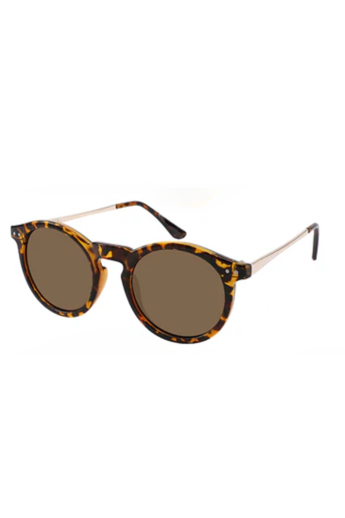 Ashton Polarized