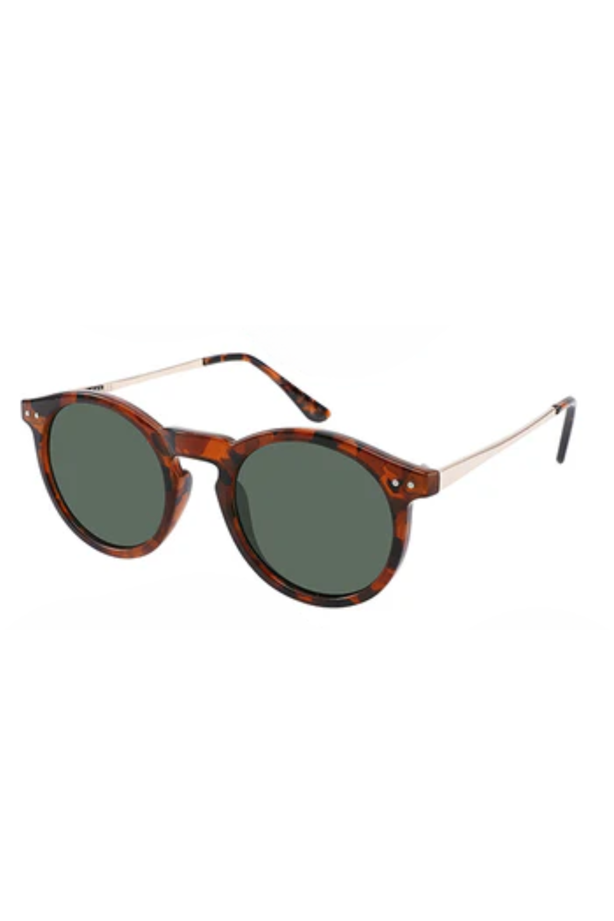 Ashton Polarized