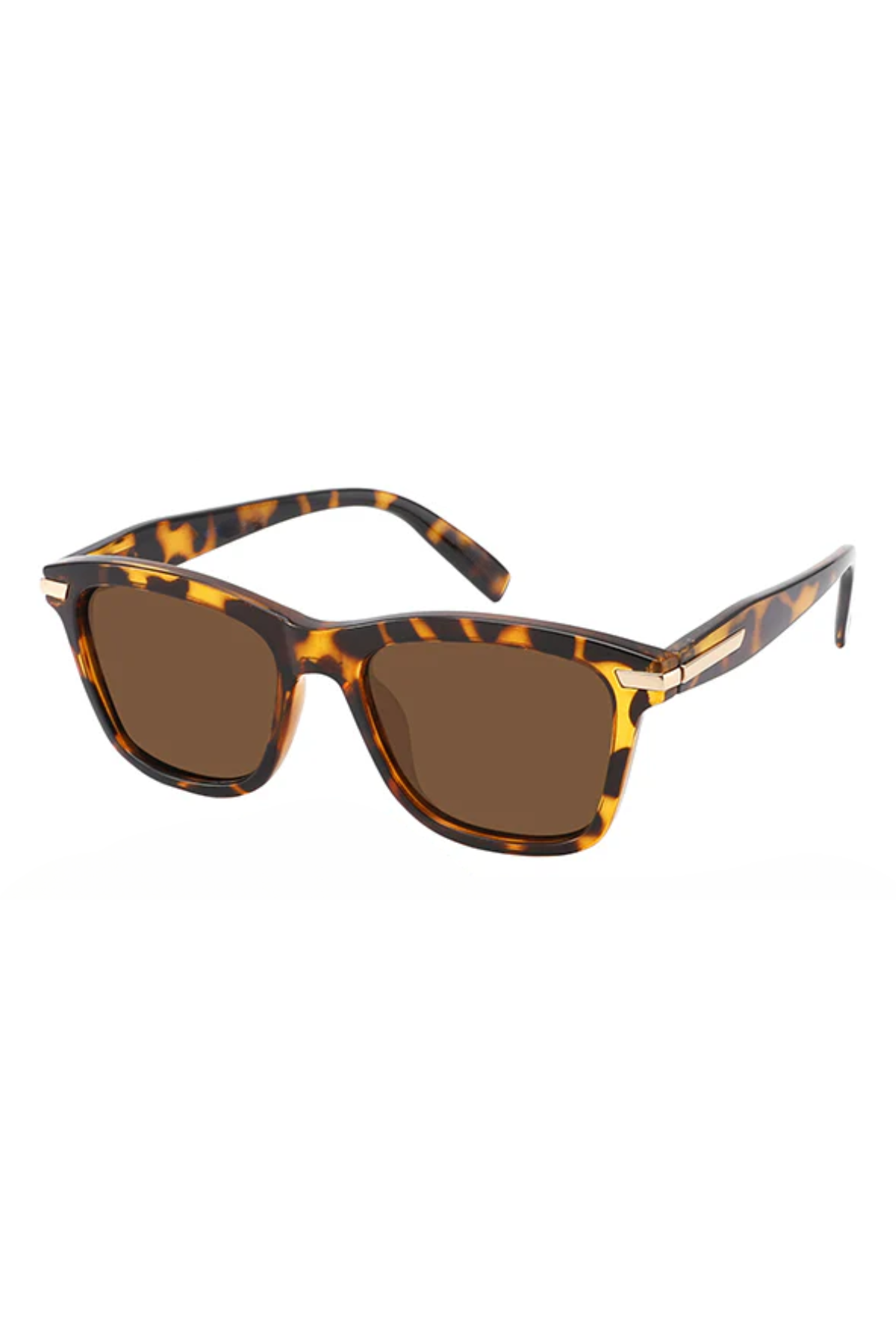Collin Polarized