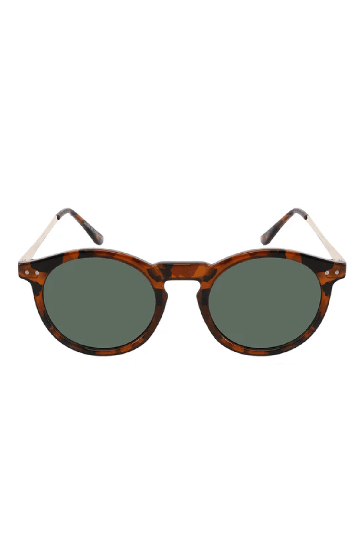 Ashton Polarized - Gafas Y Gafas