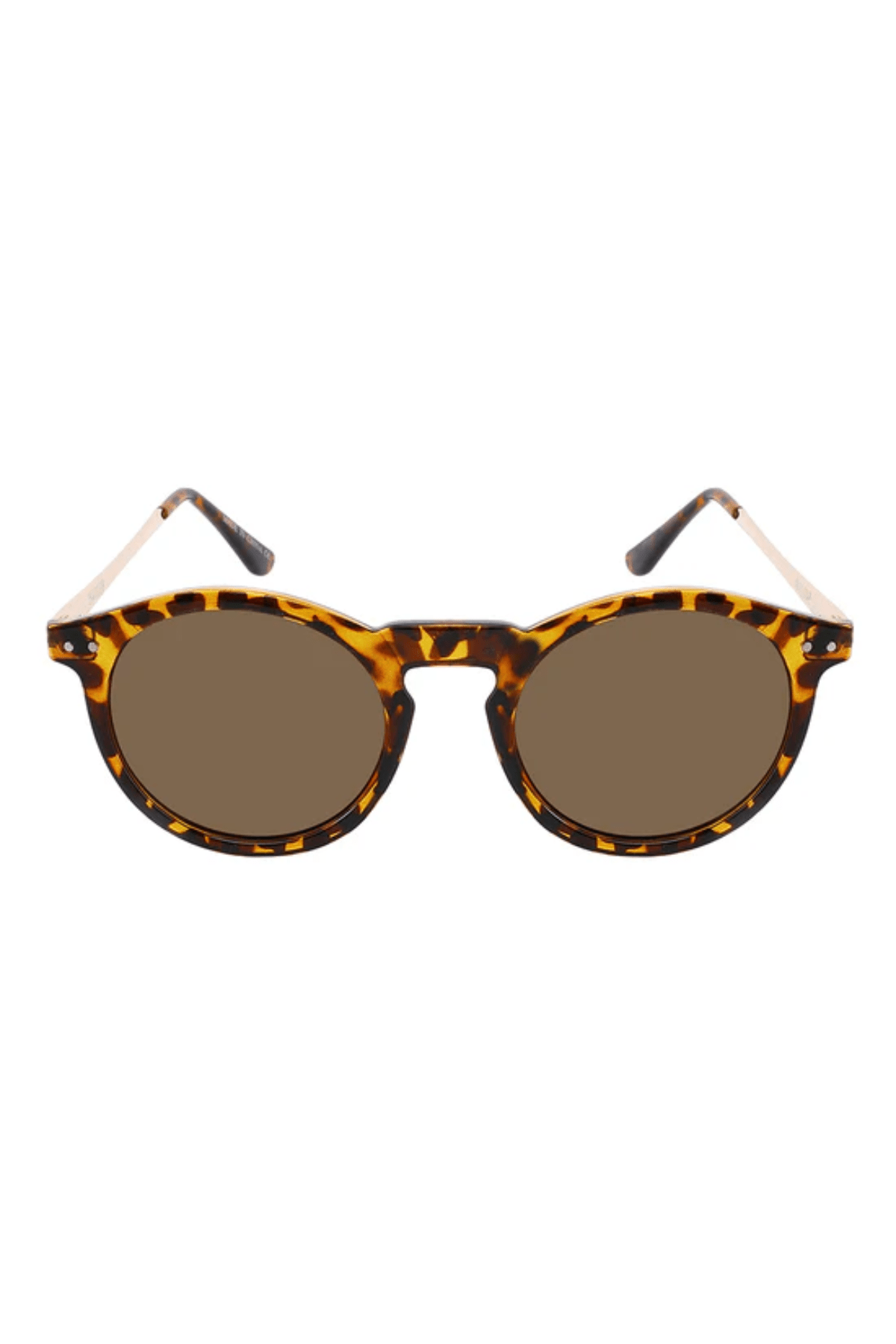 Ashton Polarized - Gafas Y Gafas