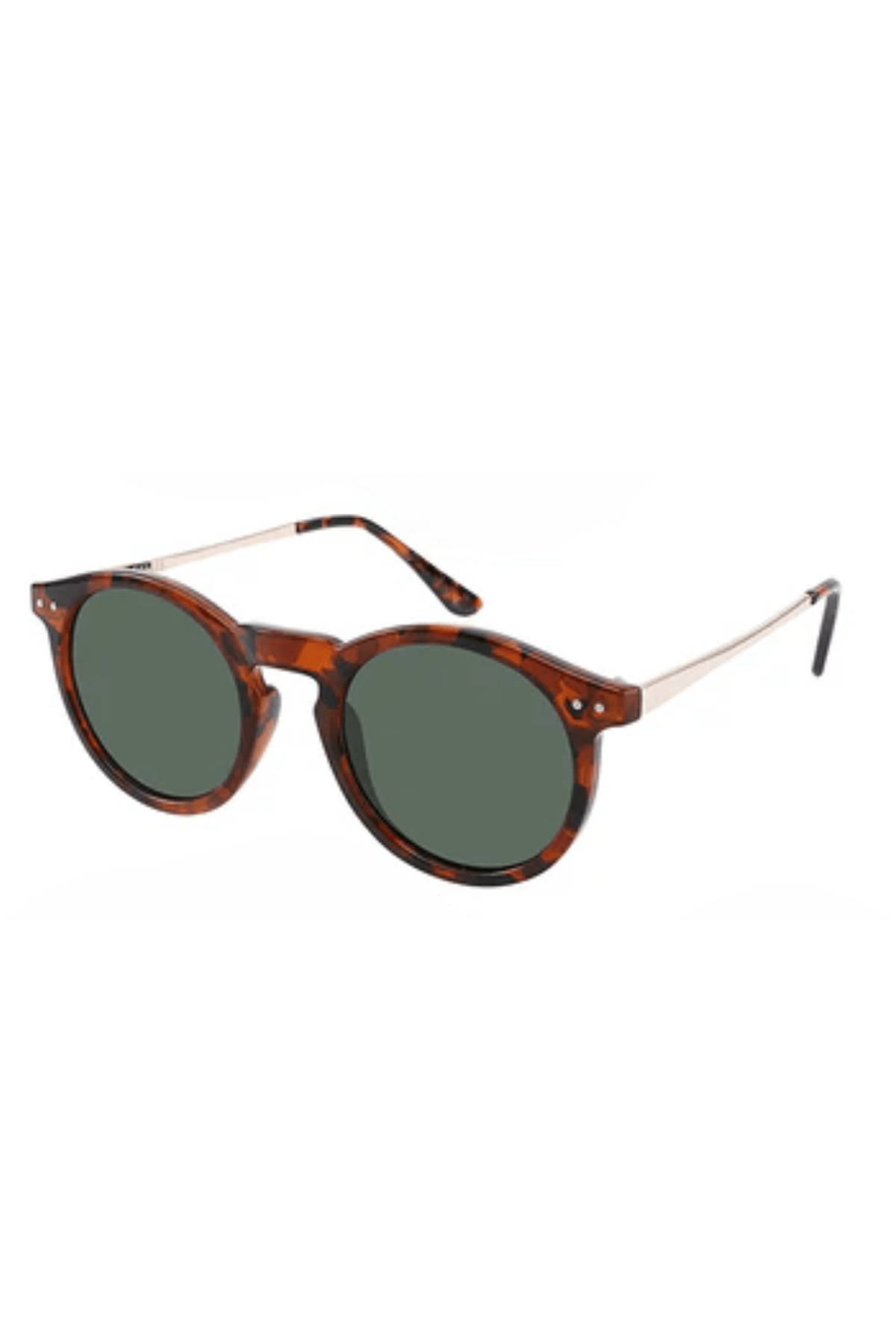 Ashton Polarized - Gafas Y Gafas
