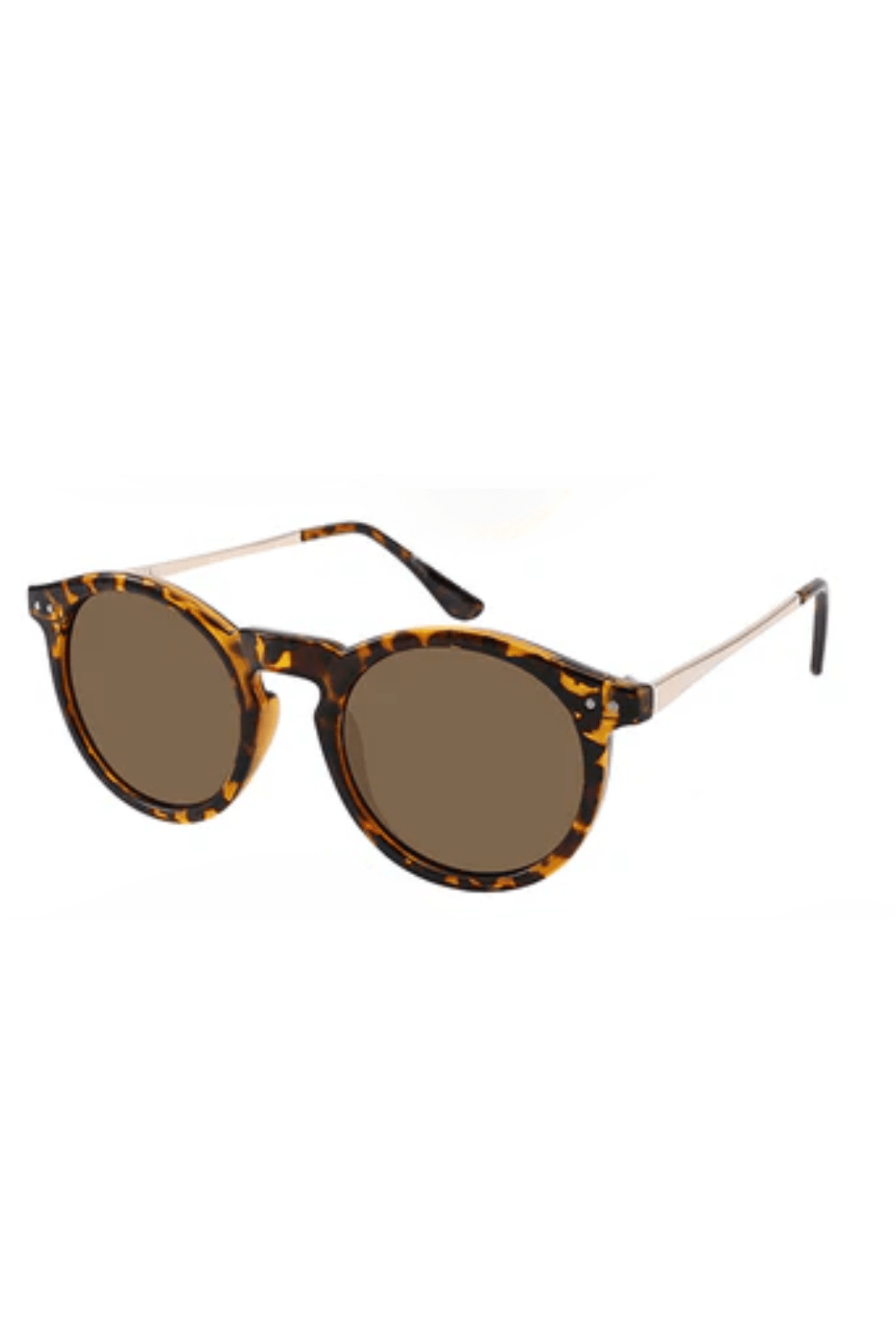 Ashton Polarized - Gafas Y Gafas