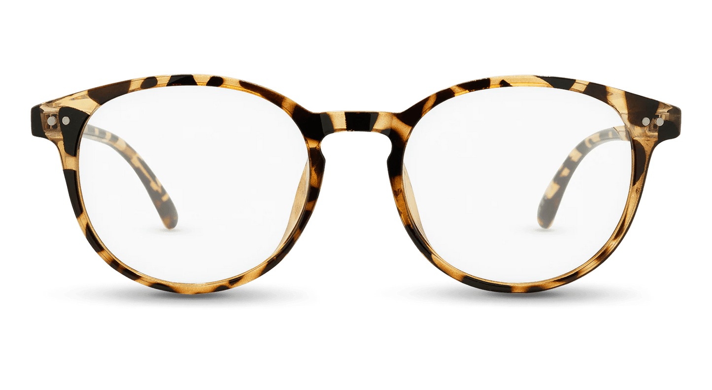 Cambridge - Gafas Y Gafas