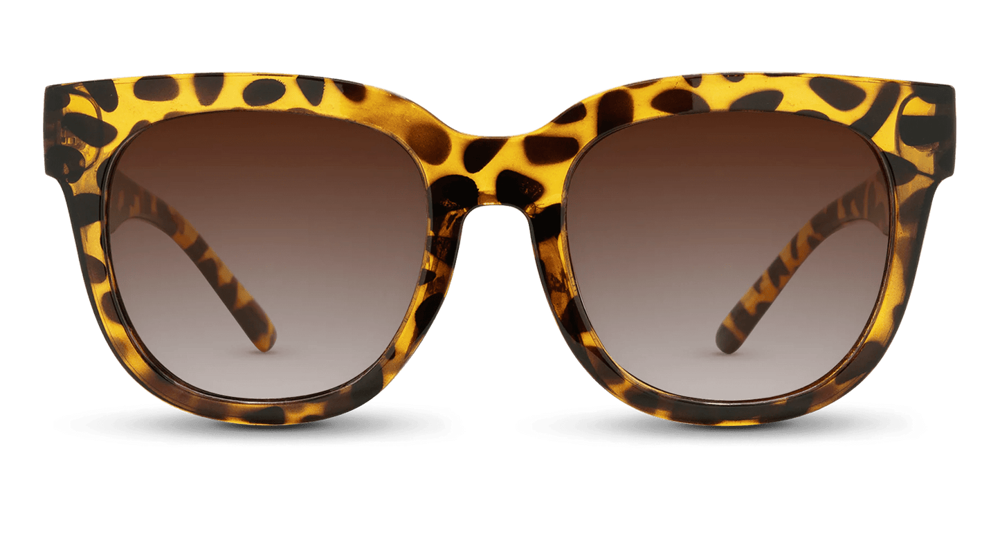 Chatham - Gafas Y Gafas