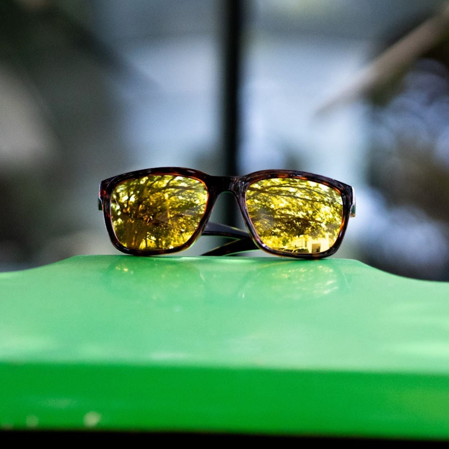 Folly - Gafas Y Gafas