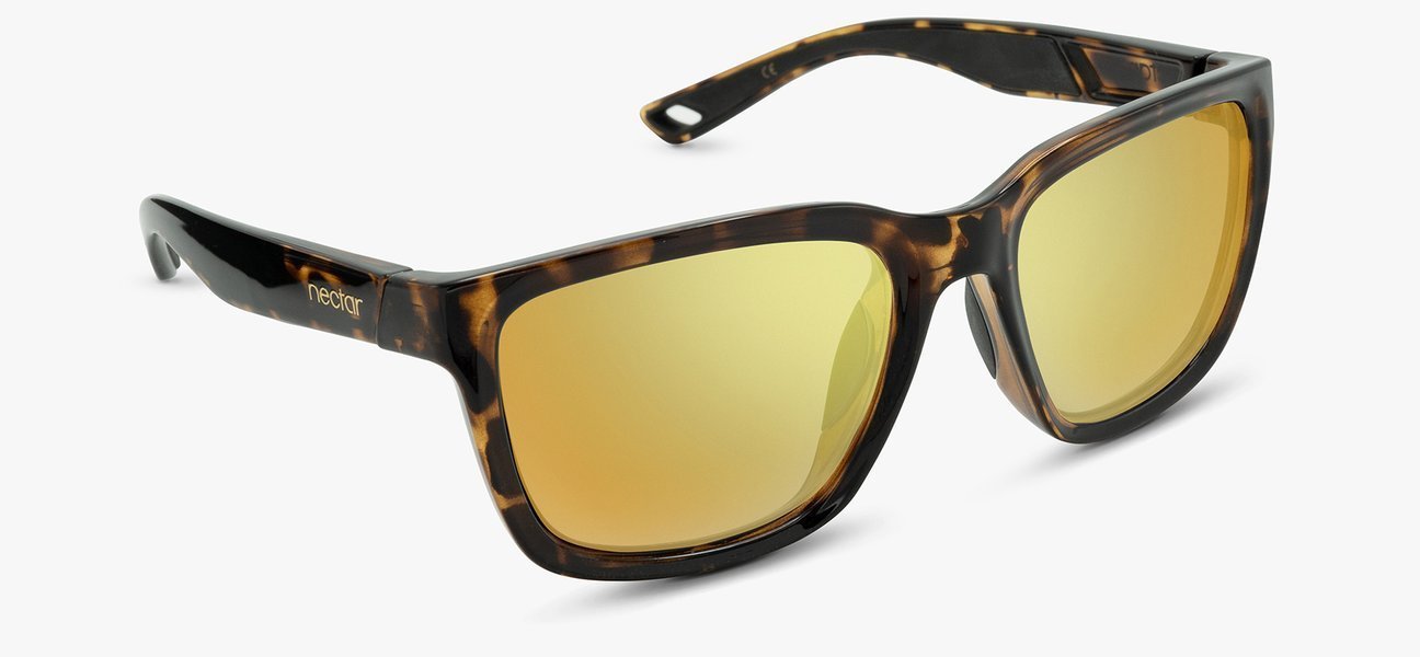 Folly Collection - Gafas Y Gafas