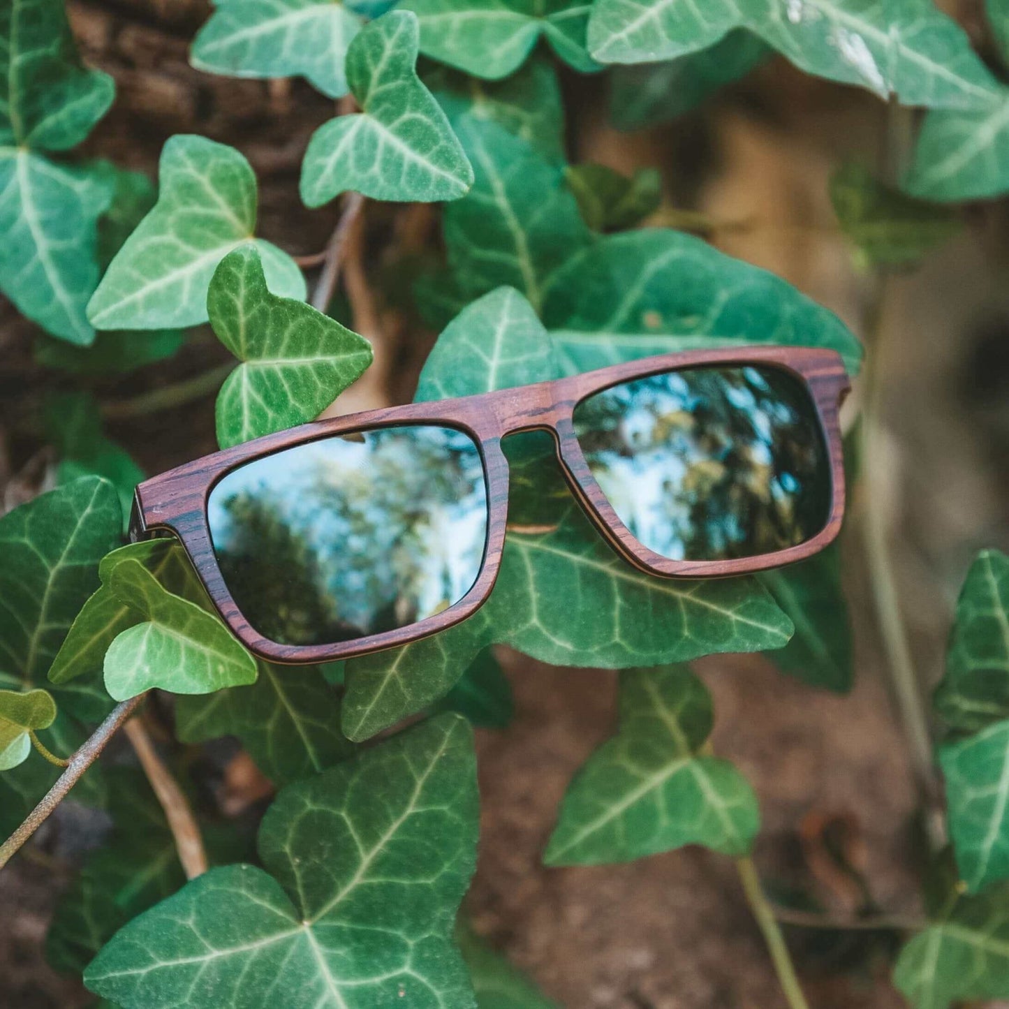 Palau - Wooden Sunglasses - Gafas Y Gafas