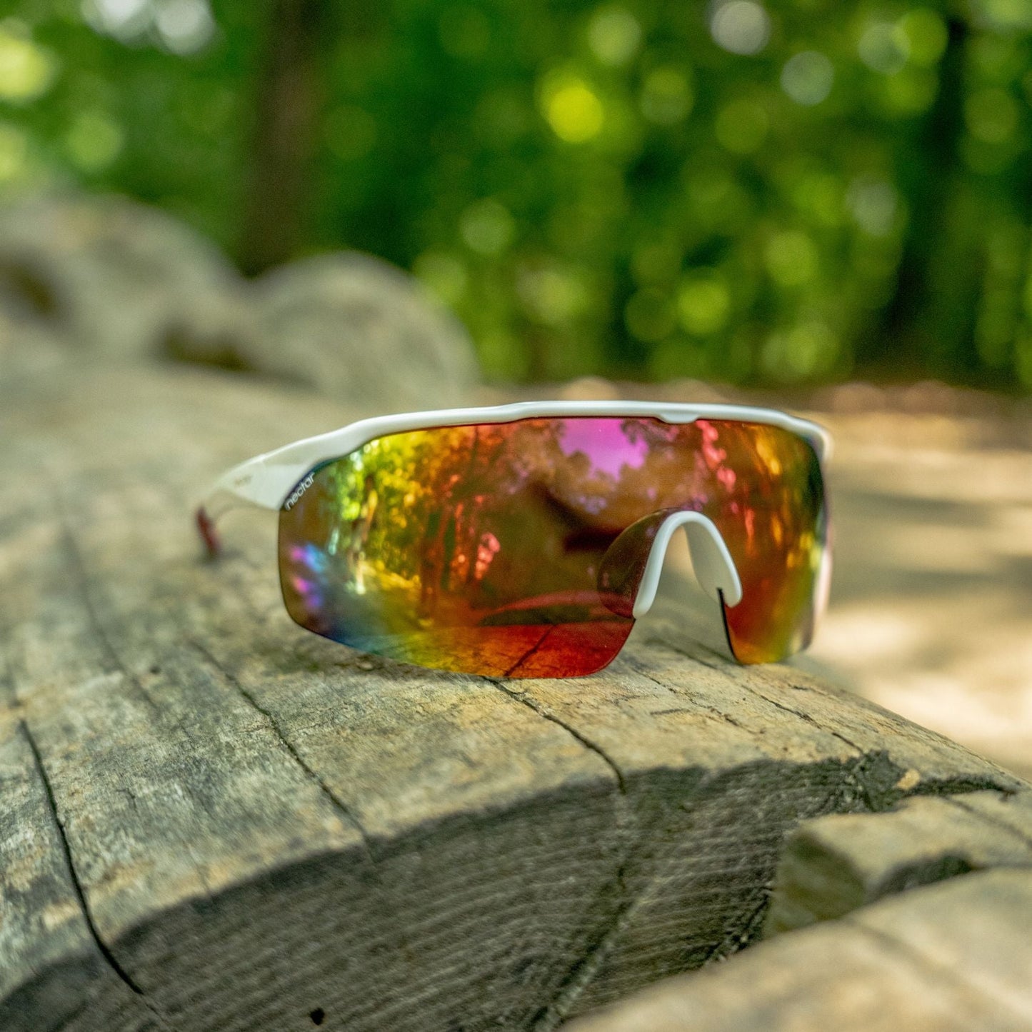 Pisgah - Gafas Y Gafas