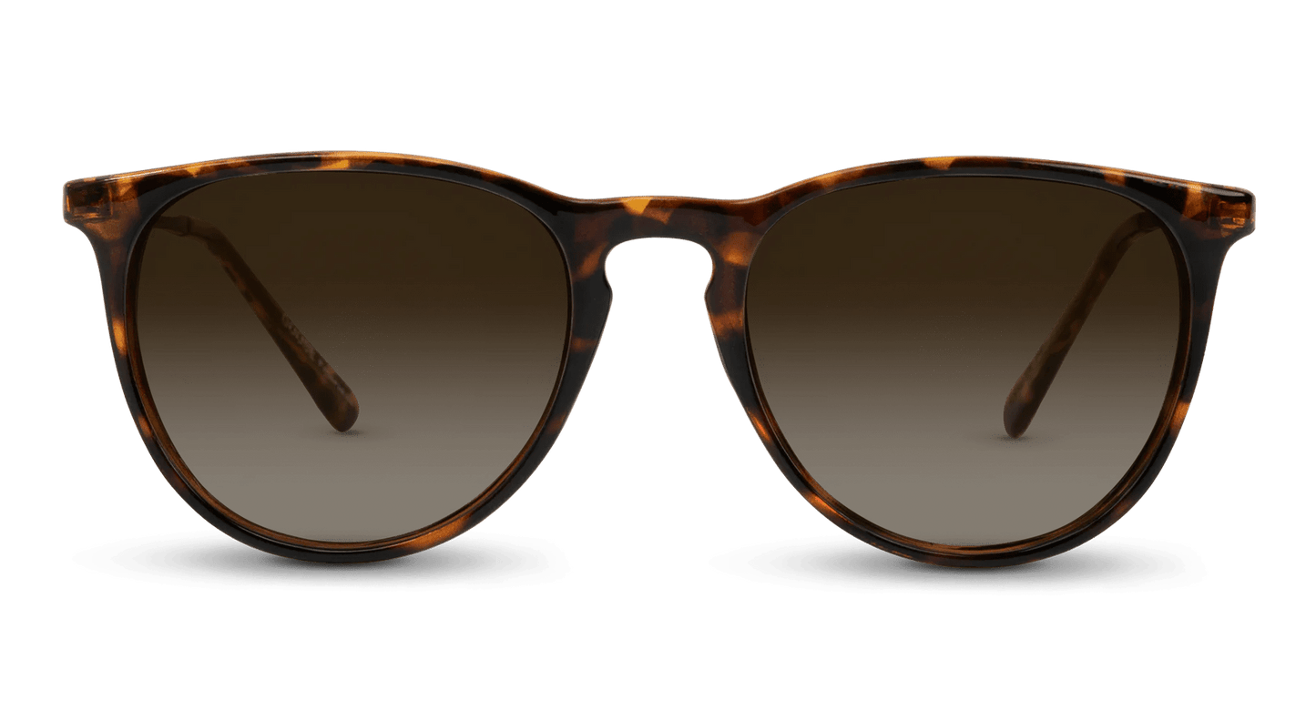 Shockoe - Gafas Y Gafas