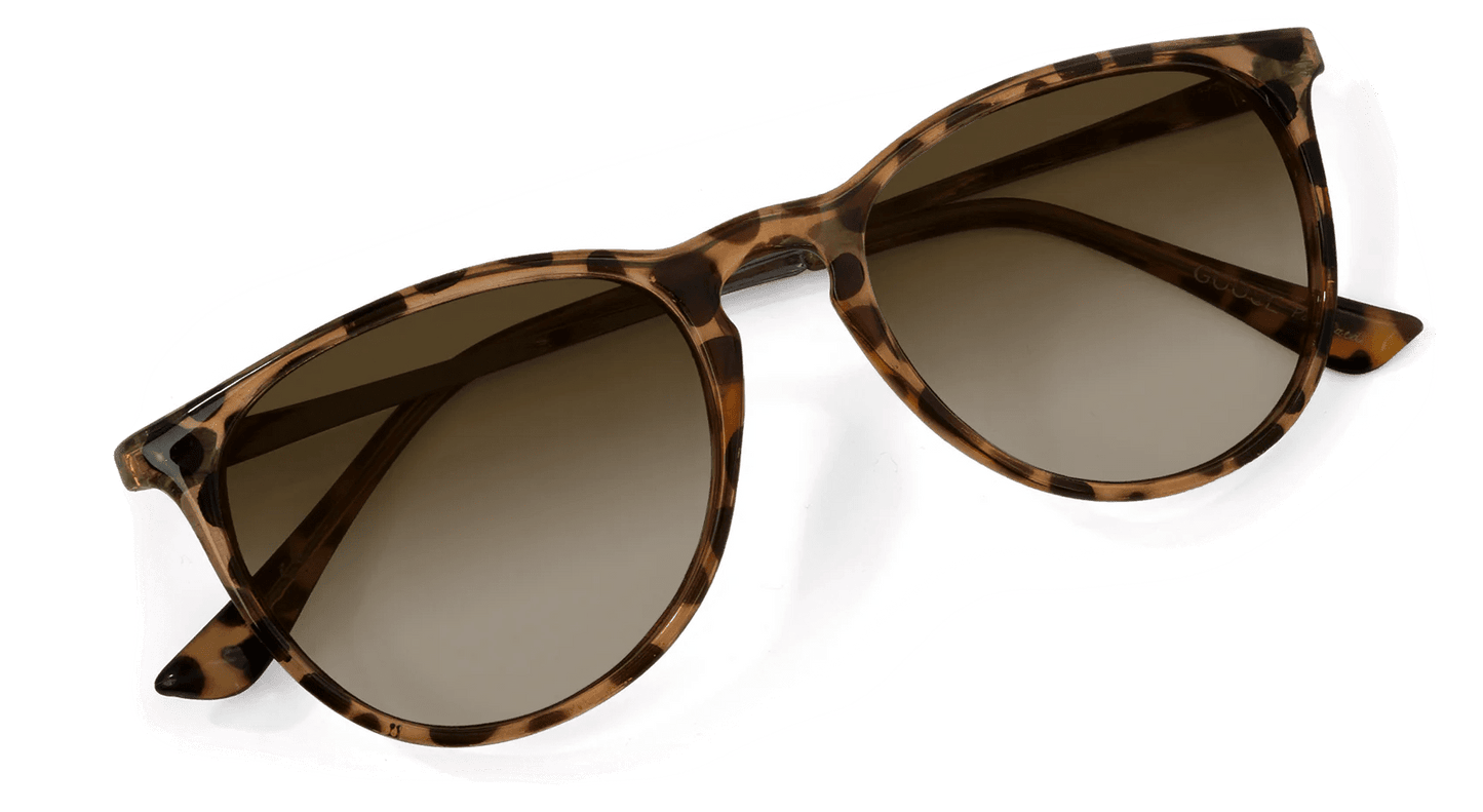 Shockoe - Gafas Y Gafas