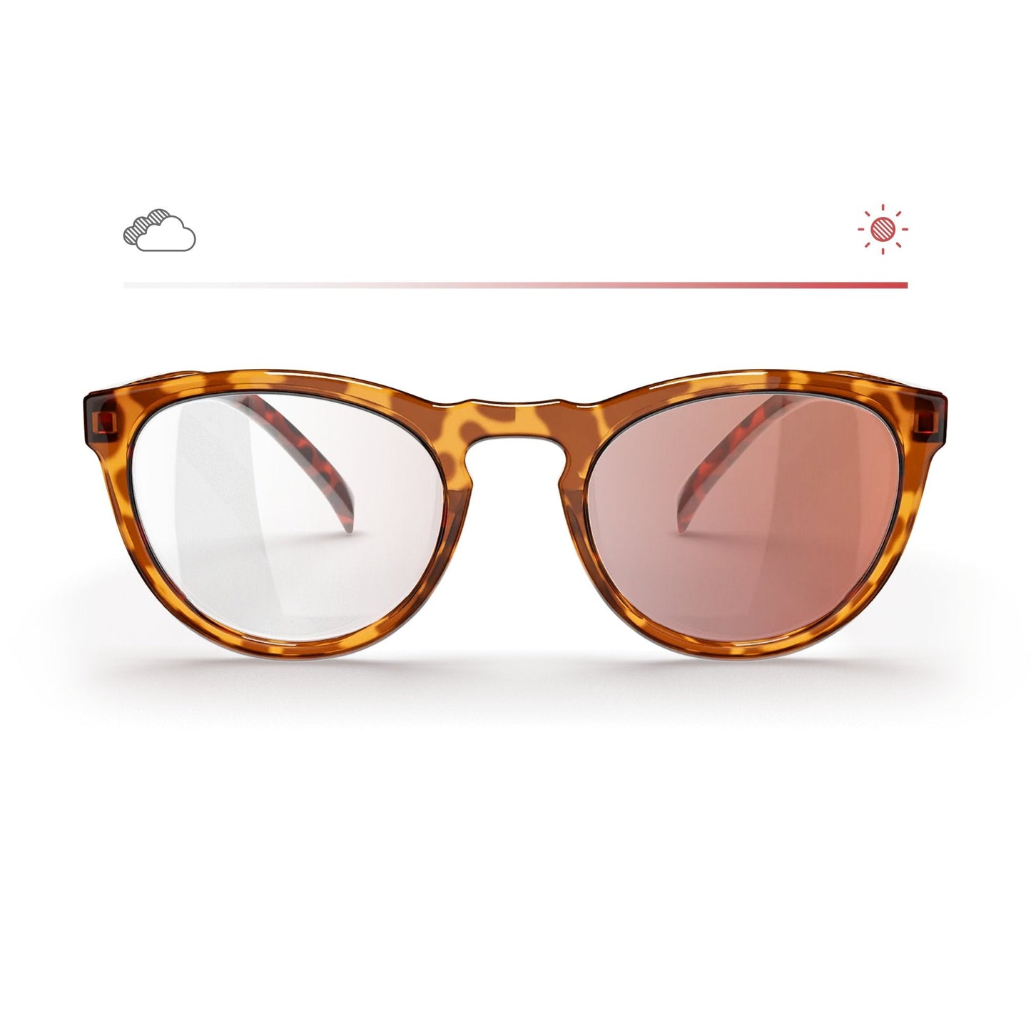 Tortoise Round Prescription Transitions® Colors - Gafas Y Gafas
