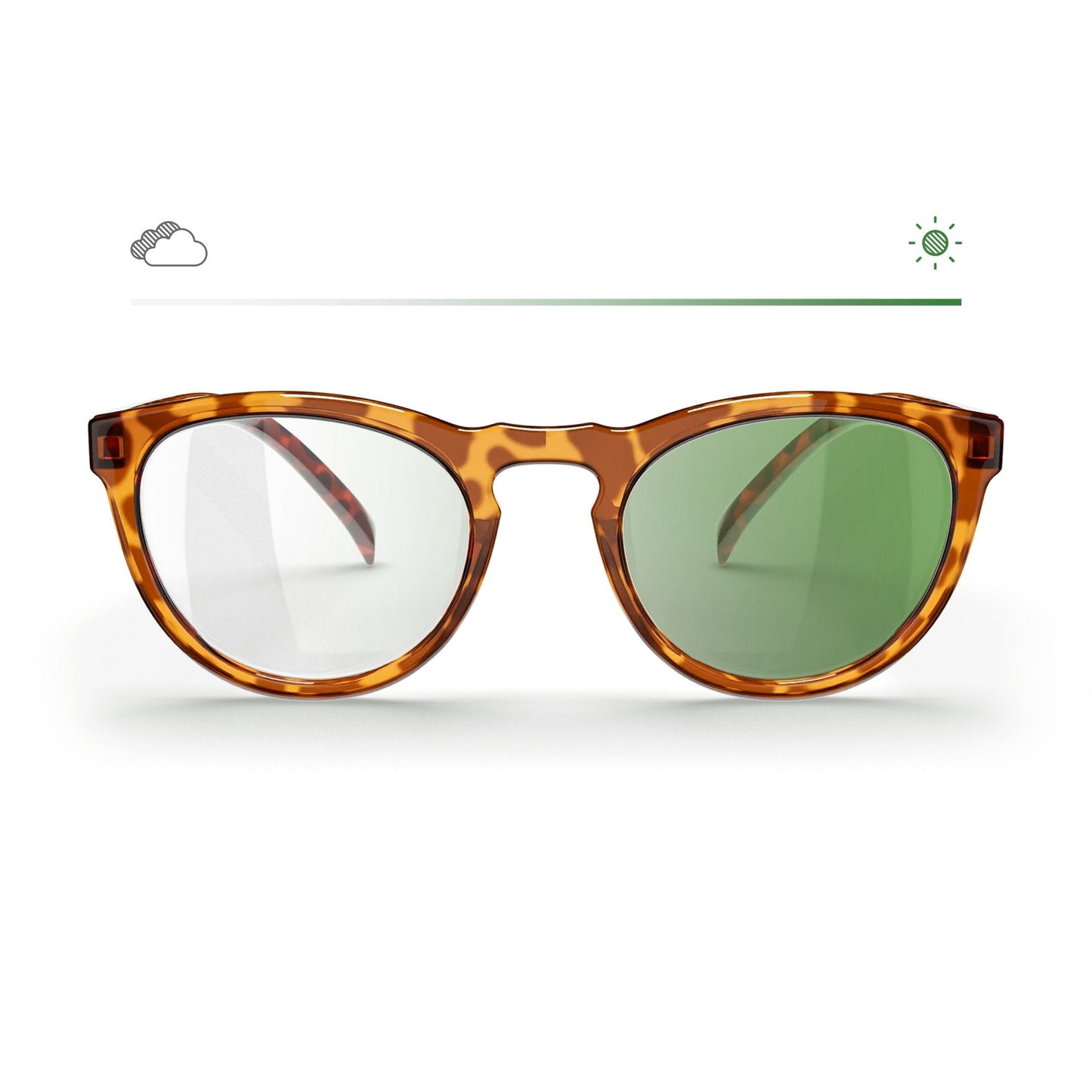 Tortoise Round Prescription Transitions® Colors - Gafas Y Gafas