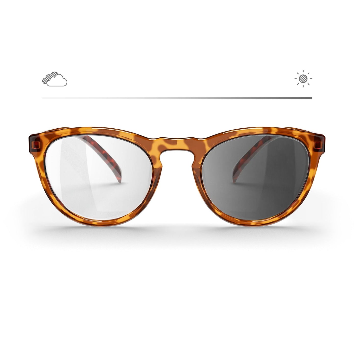 Tortoise Round Prescription Transitions® Xtra Active - Gafas Y Gafas
