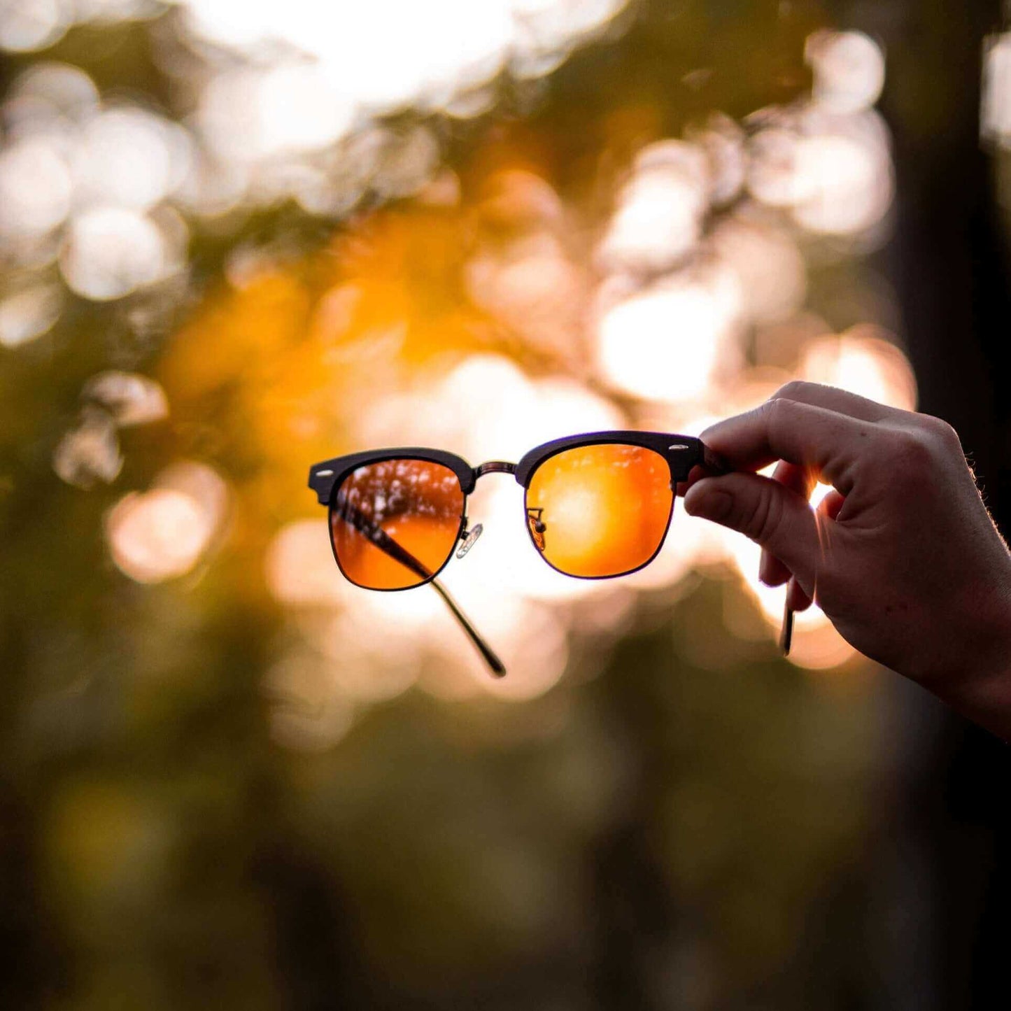 Zeneye - Wooden Sunglasses - Gafas Y Gafas