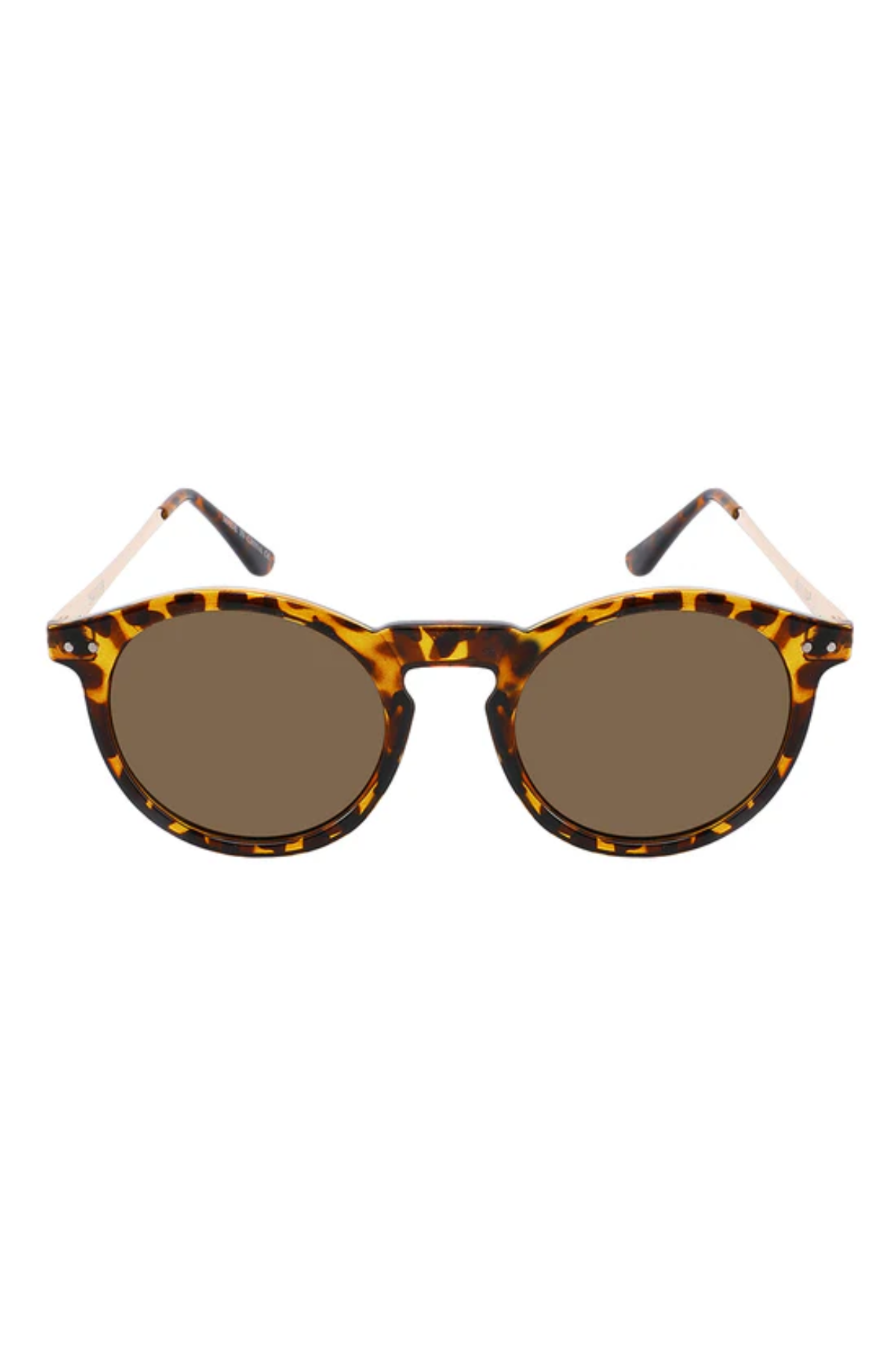 Ashton Polarized Tortoise