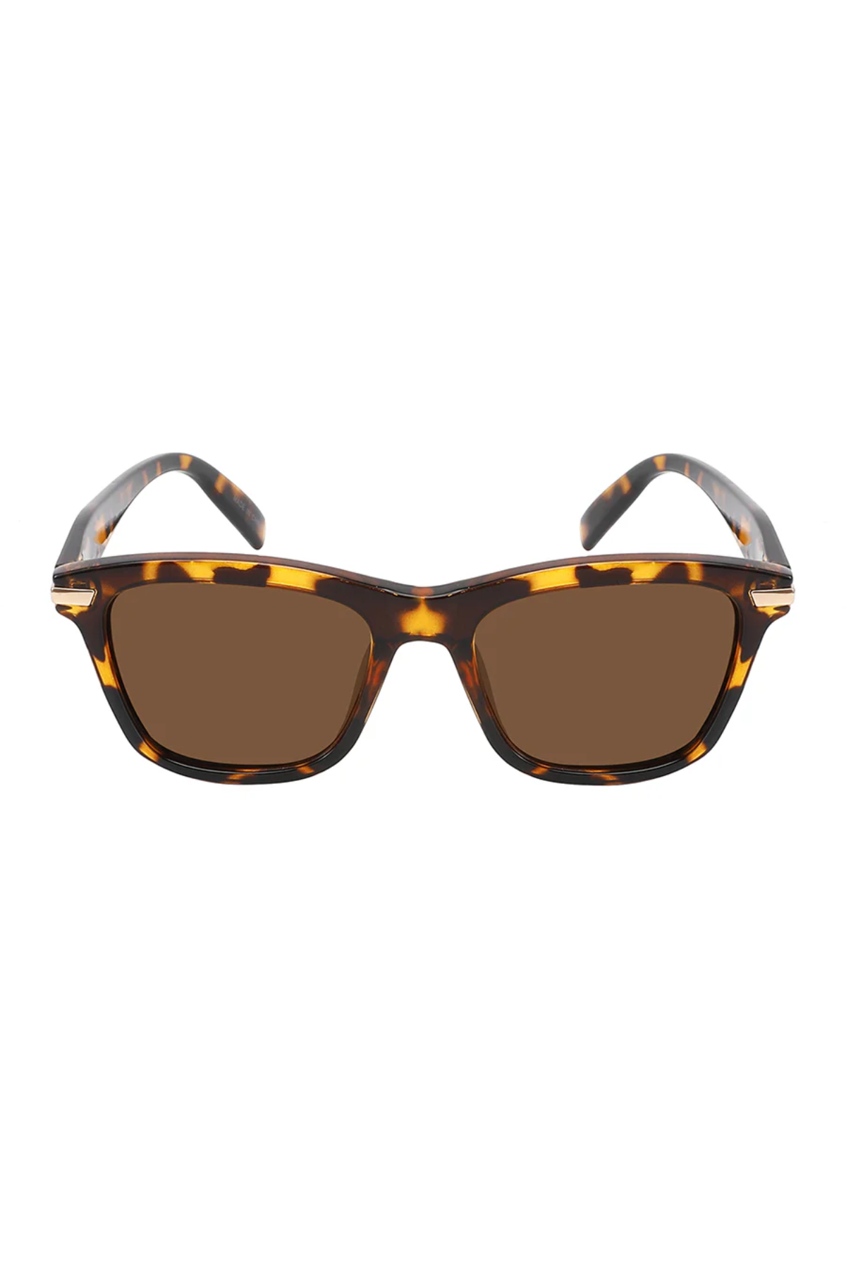 Collin Polarized Tortoise