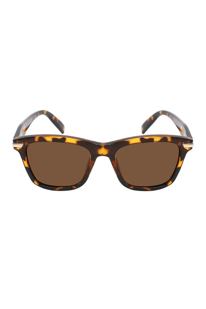 Collin Polarized Tortoise