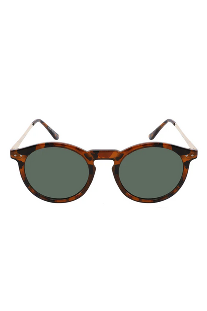 Ashton Polarized Terra