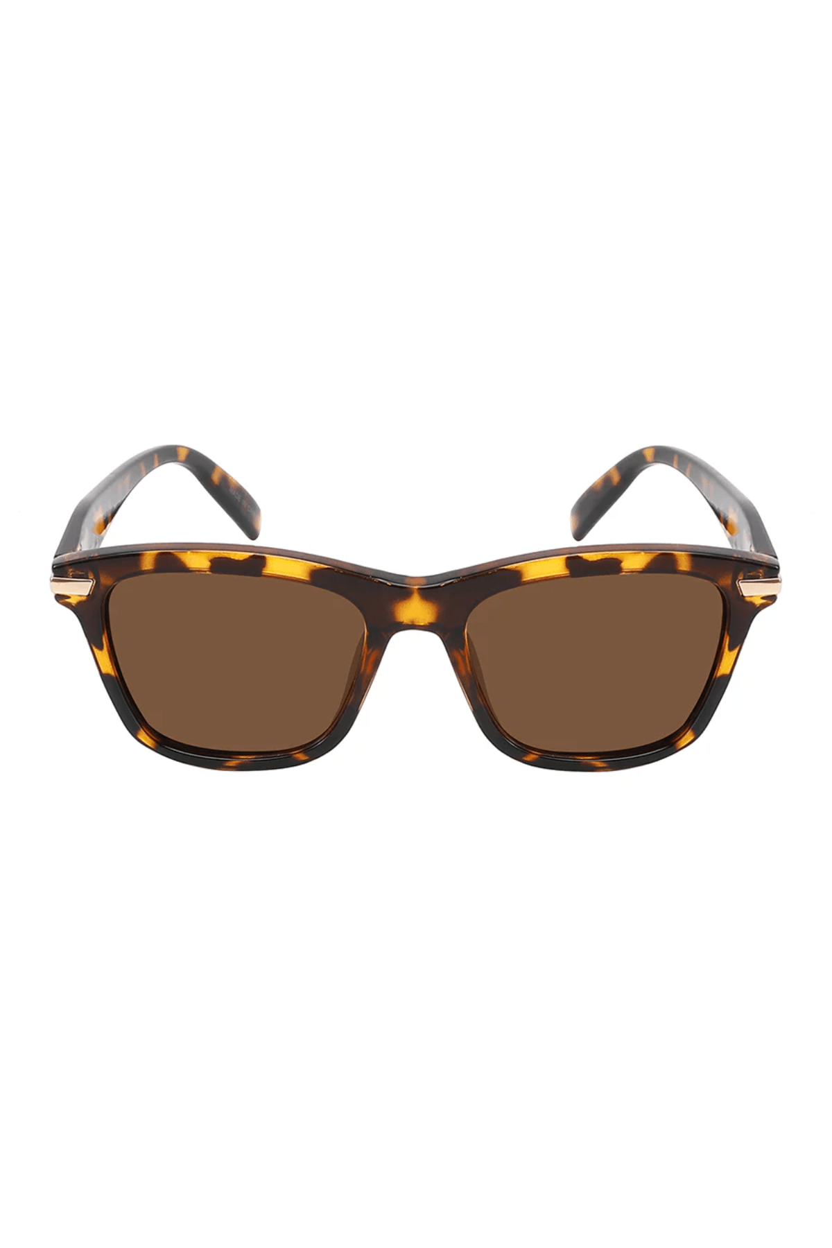 Collin Polarized - Gafas Y Gafas
