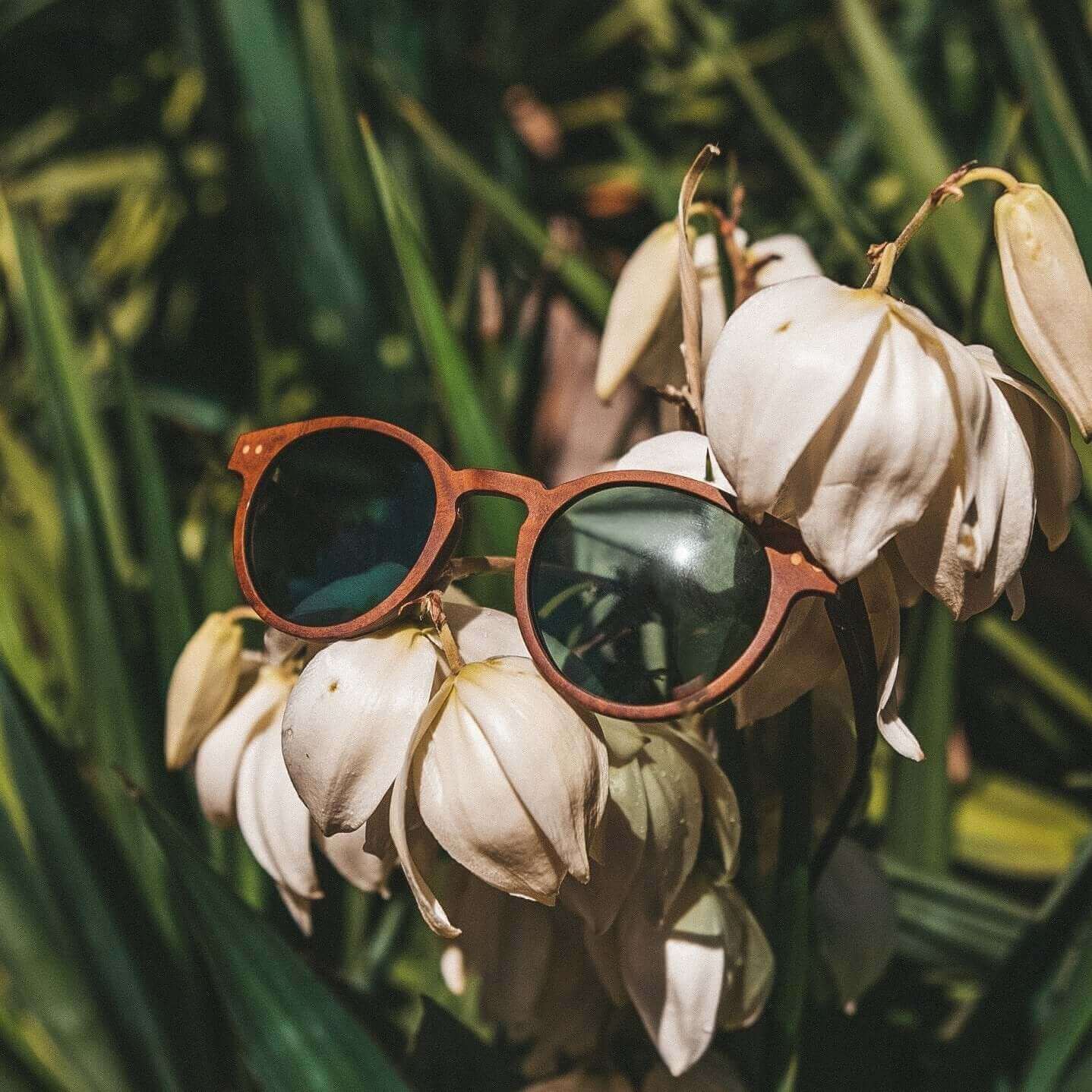 Stinson - Unisex Wooden Sunglasses - Gafas Y Gafas