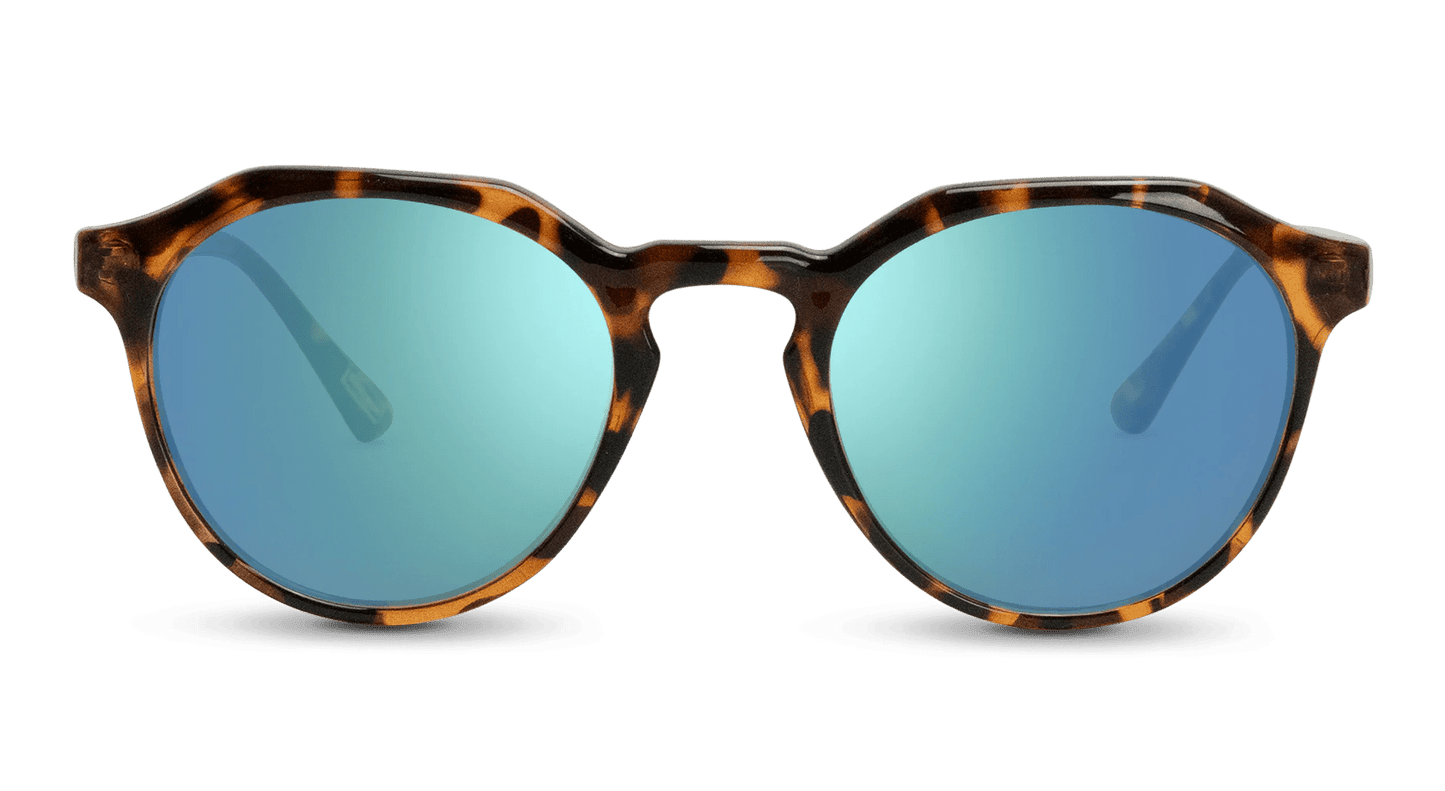 Wynwood - Gafas Y Gafas
